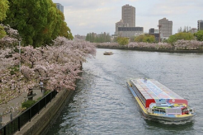 Osaka and Kyoto Stunning Cherry Blossoms and Sakura Cruise Tour