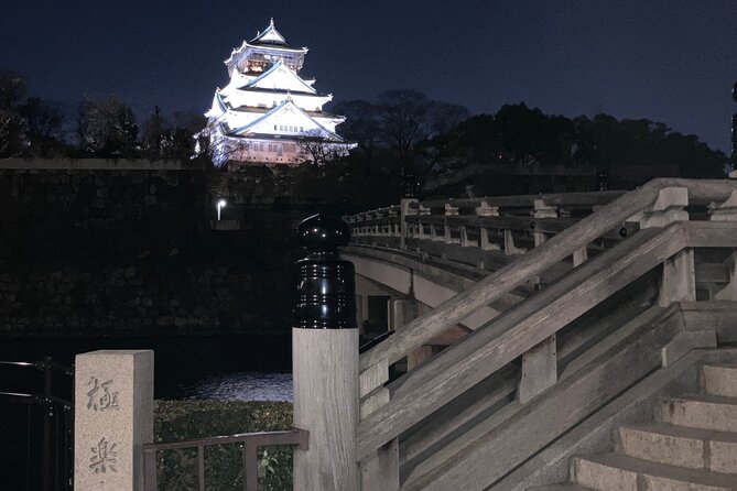 Osaka Castle & Back Alley Gourmet Private Tour
