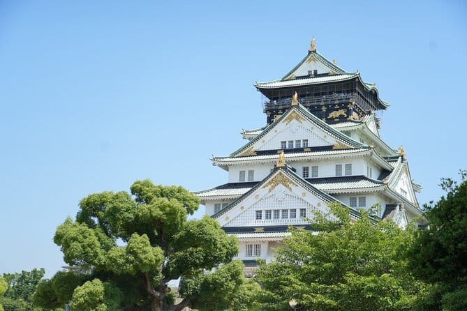 Osaka Castle Walking Tour - Overview of Osaka Castle