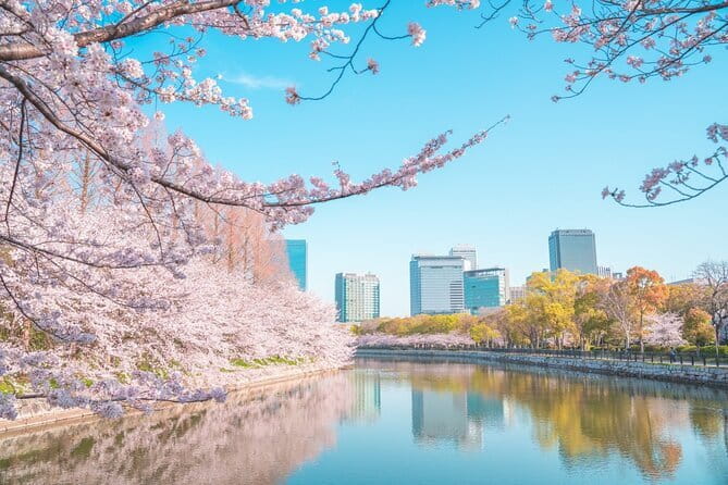Osaka Full Day Private Customizable Tour
