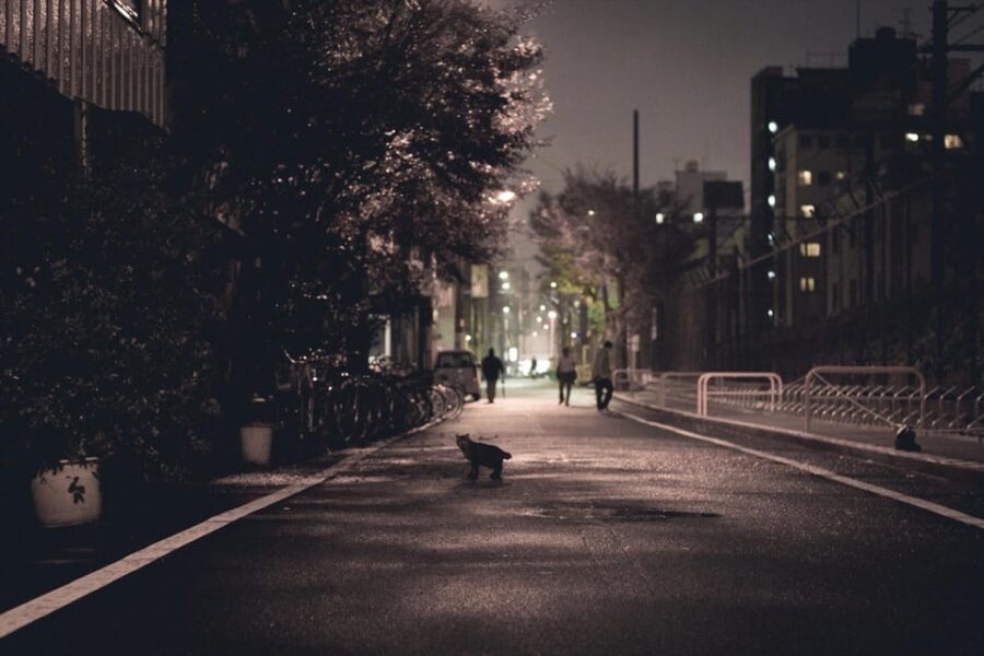 Osaka: Historical Red Light District and Ghetto Walking Tour - Tour Overview and Pricing