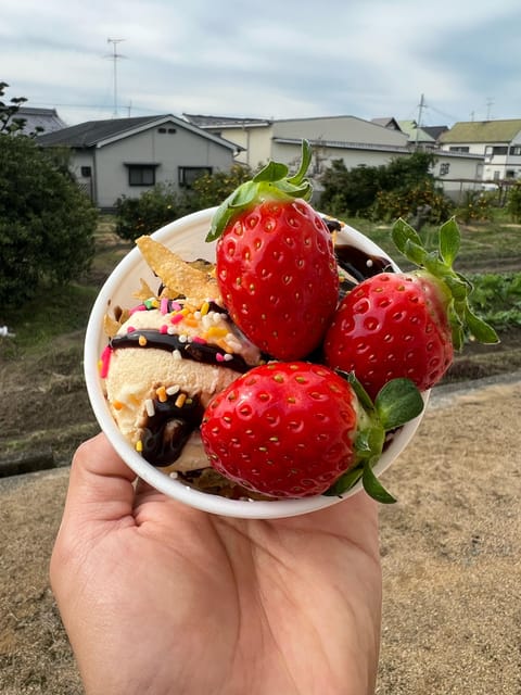 Osaka Izumisano : All You Can Eat Strawberry Picking - Activity Overview