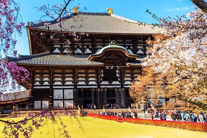 Osaka: Nara, Todaiji, Uji Matcha, and Hot Spring Tour - Tour Overview