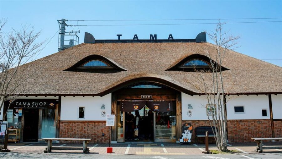 Osaka: Wakayama, Kishi Station, Shirahama and Coast Day Tour