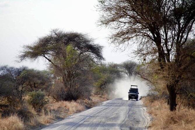 Outstanding Day Trip to Tarangire National Park