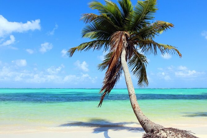 Palladium Punta Cana – Round Trip Shuttle – Punta Cana Airport