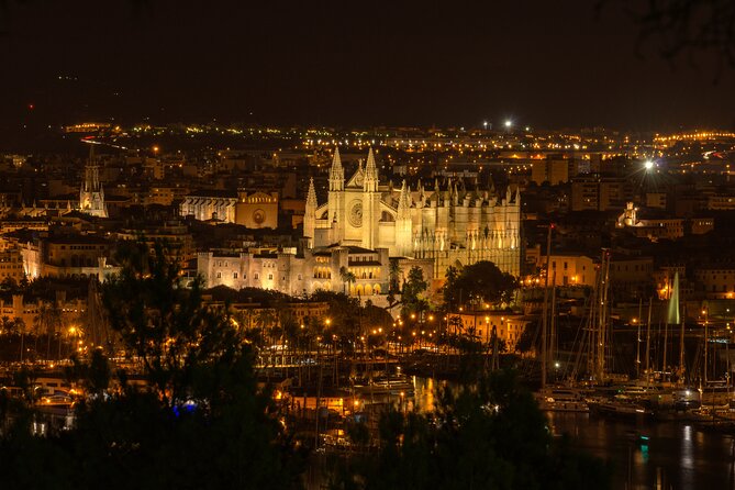 Palma at Night by Boat - Inclusions