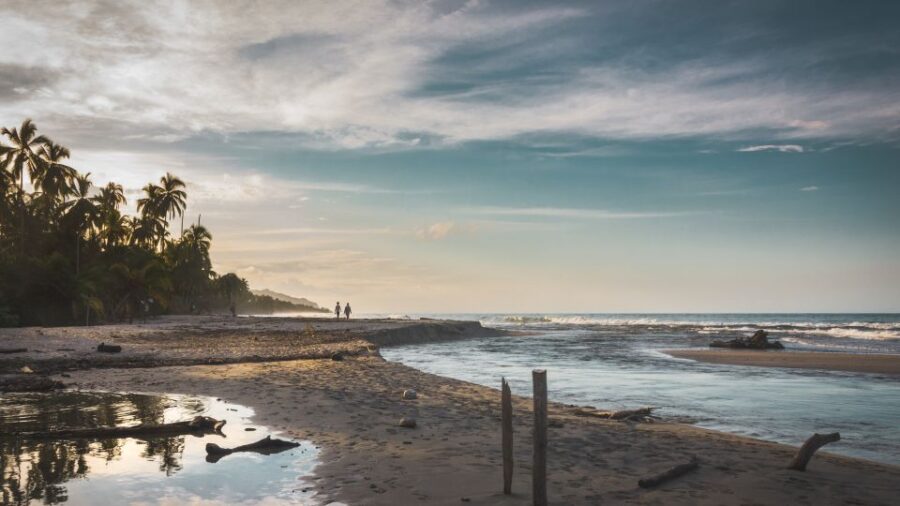 Palomino: Horseback Riding Tour on Palomino Beach