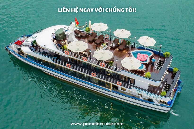 Pamela Cruise: Halong Bay Day Trip With Lunch & Activities
