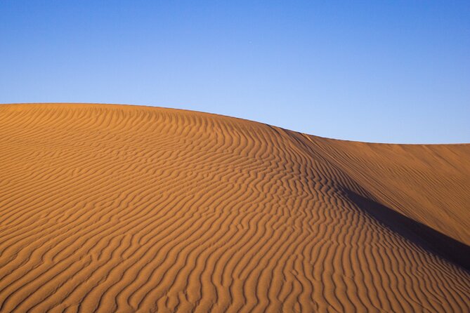 Paracas, Ica and Huacachina Day Trip From Lima | Mini-Galapagos