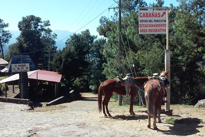Paricutin Volcano Tour (Morelia)