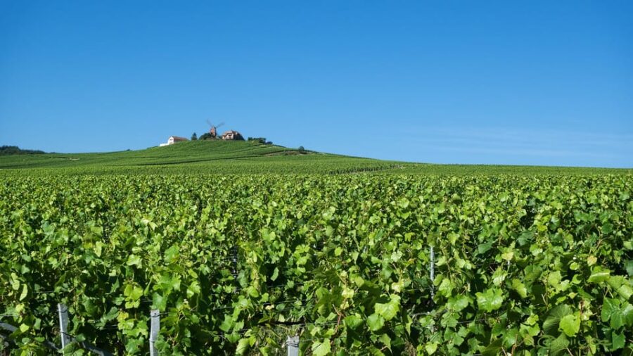 Paris VIP: Champagne Region Private Chauffeur Driven 12hrs - Tour Overview