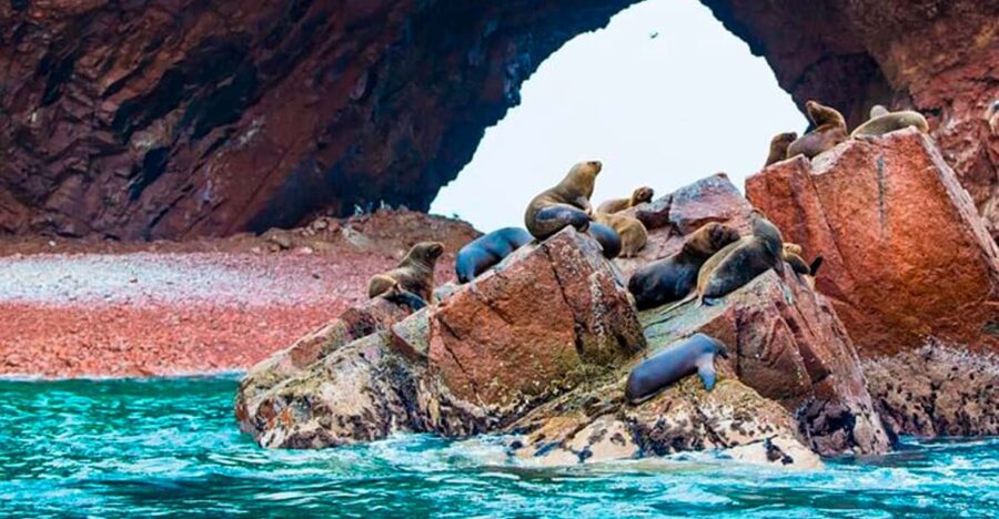 Peru and Bolivia 16 Days 15 Nights