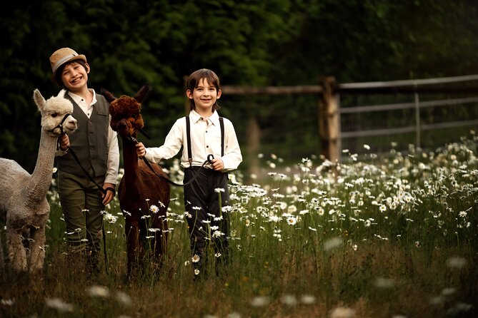 Photoshoot With Alpacas and Farm Experience Near Seattle