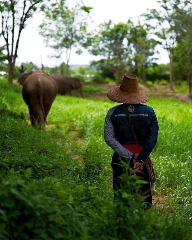Phuket: Elephant Nature Reserve Entry Ticket and Guided Tour