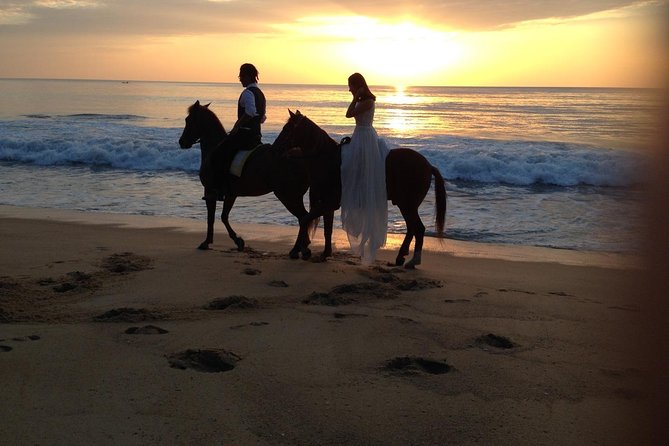 Phuket Horse Riding Club