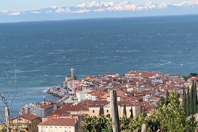 Piran & Panoramic Slovenian Coast Tour (Up to 8 Persons)