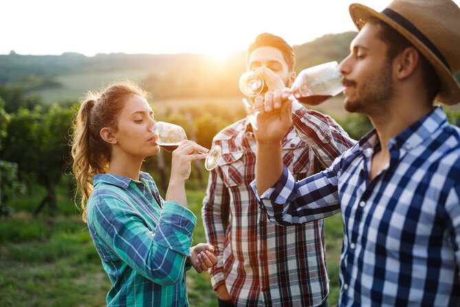 Placer County Wine Tasting Pass - Overview of the Placer County Wine Tasting Pass