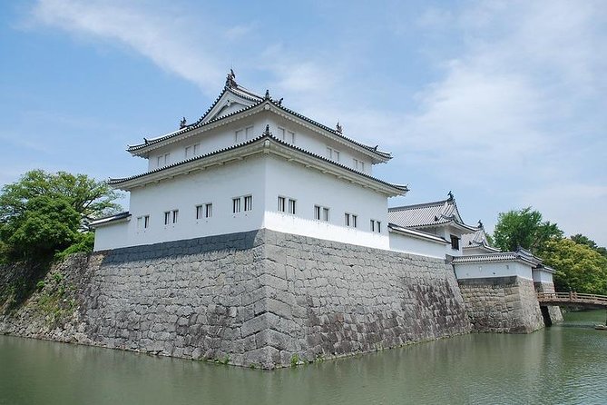 Port Pick-Up: Shizuoka Tour With Licensed Guide and Vehicle