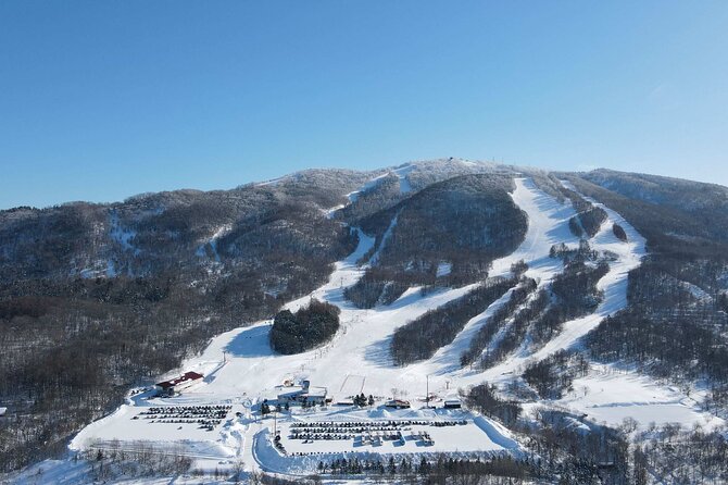 Powder Belt Pass 5 Days Ticket, Brush-Dyeing Experience