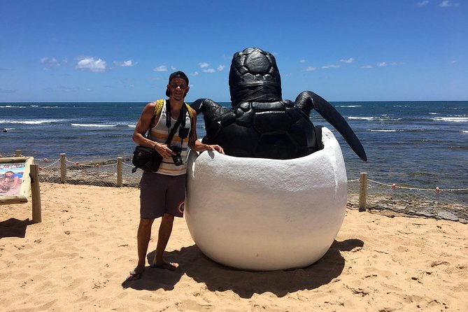 Praia Do Forte With Guarajuba Beach – Day Trip From Salvador