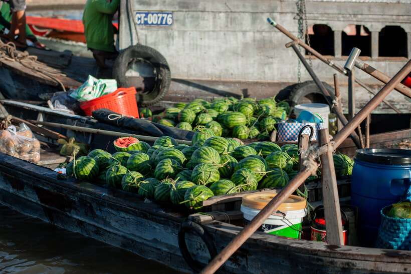 Premium Can Tho Floating Market – Fruit Garden – Cacao Farm