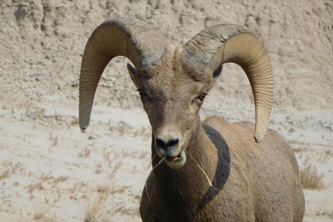 Private 5 Hour Badlands Tour With Local Experts