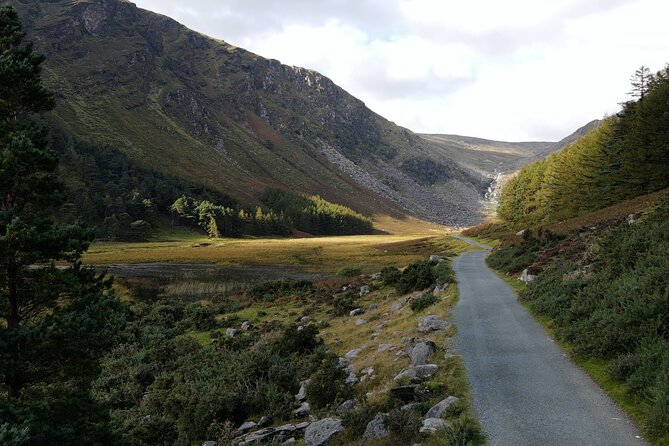 Private 8-Hour Tour to Glendalough and Wicklow From Dublin - Personalized Private Tour Experience