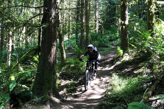 Private Adventure Mountain Biking in Seattles Eastside