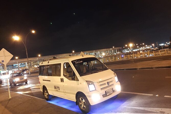 Private Arrival or Departure Transfer: Matecaña Int Airport