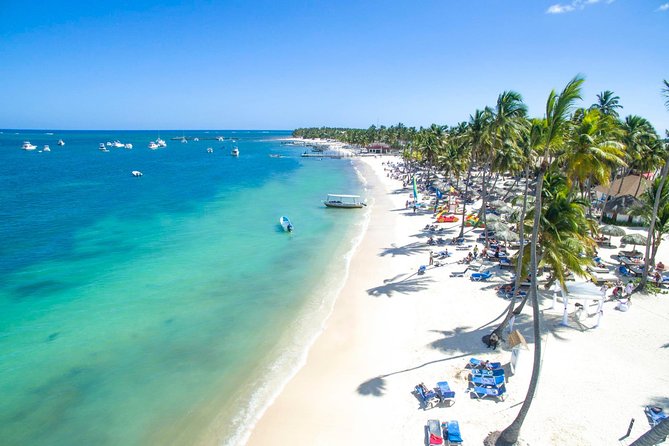 Private Arrival Transfer From Punta Cana Airport (Puj) to Santo Domingo - Overview of Service