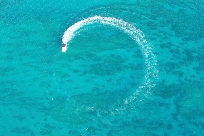 Private Boat Cruise of Waikiki! Snorkel, Sightseeing, Sea Life! - Overview and Experience