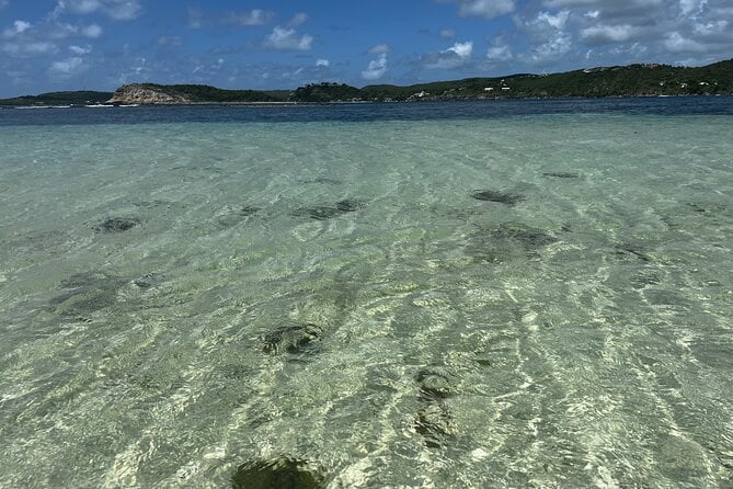PRIVATE BOAT Half Day Discover Green Island and Sea Turtles