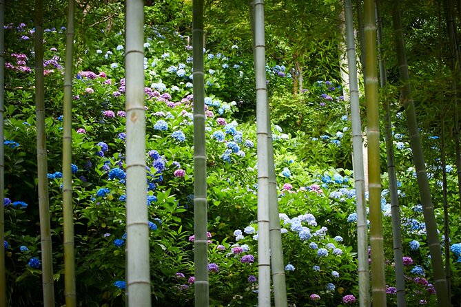 Private Car Tour to See Highlights of Kamakura, Enoshima, Yokohama From Tokyo
