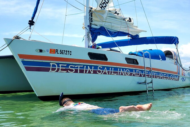 Private Catamaran: Snorkel, Swim and Dolphin Watching - Overview of the Activity