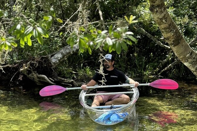 Private Crystal Clear 2 HR Kayak/Paddle Rental on Rainbow River - Overview of the Rental Experience