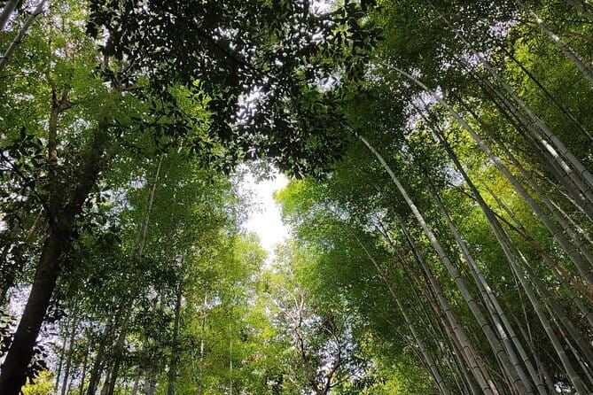 Private Customized Walking in Tour Kyoto