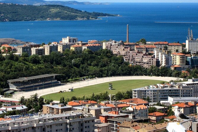 Private Direct Transfer From Venice to Trieste, up to 8 Pax