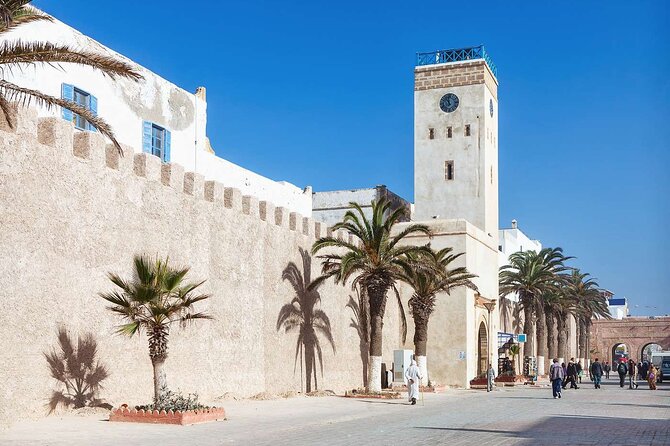 Private Essaouira Mogador: Fishing Port & Argan Oil Hub - Argan Oil Plantation Visit