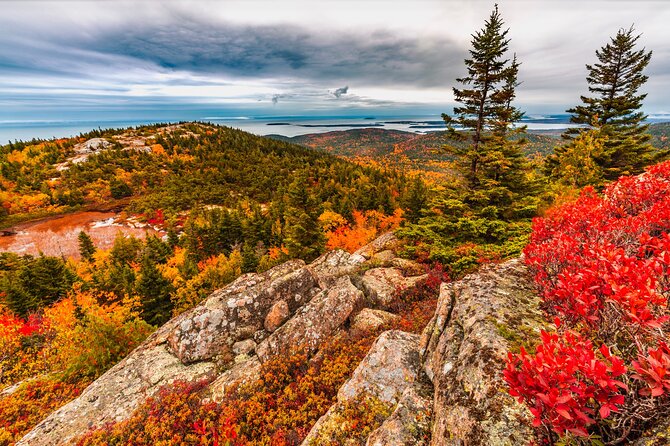 Private Exploration Tour of the Top Spots of Acadia