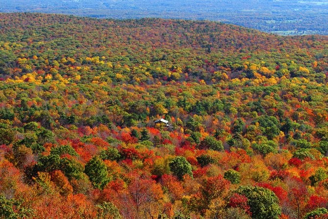 Private Fall Foliage Helicopter Tour for 2-6 From Westchester
