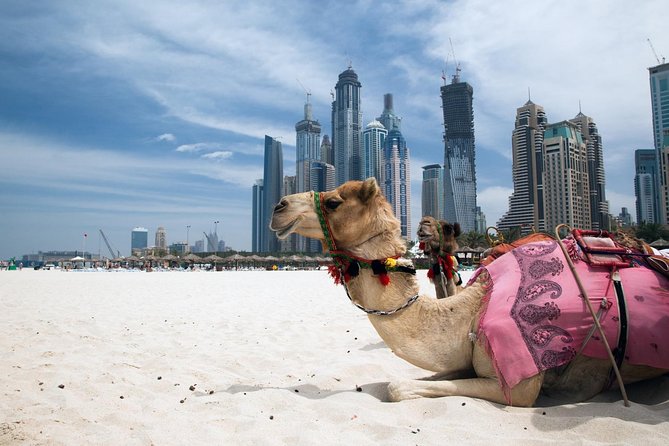Private Full Day Dubai City Tour