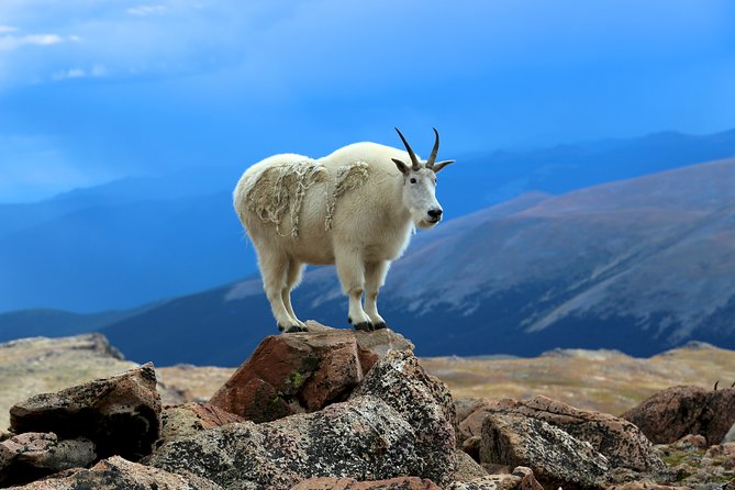 Private Full-Day Mount Blue Sky & Red Rocks Tour From Denver - Experience the Serenity of Echo Lake