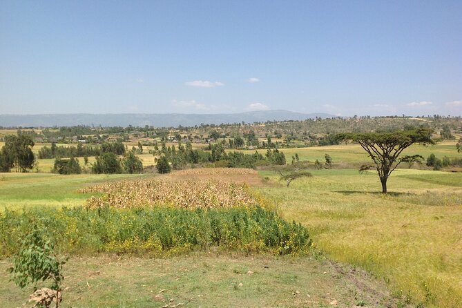 Private Full-Day Stone Age and Medieval Tour From Addis Ababa