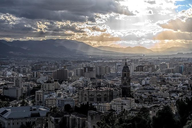 Private Full-Day Tour to Malaga From Seville With Hotel Pick up & Drop off - Inclusions and Services
