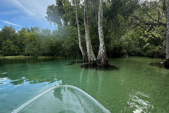 Private Guided Clear Kayak/Paddleboard Rentals on Rainbow River - Overview of the Activity