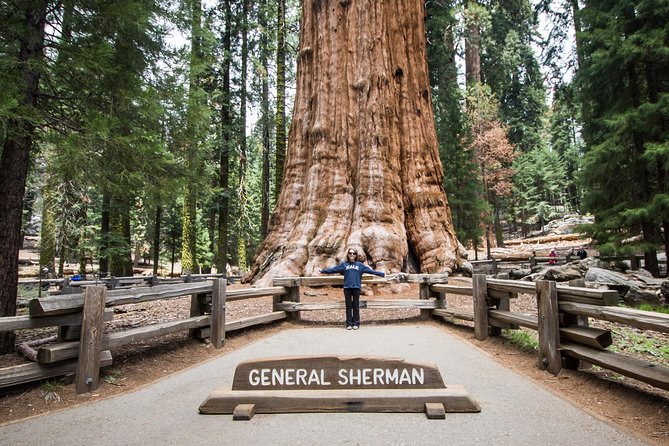 Private Guided Hiking Tour – Sequoia National Park