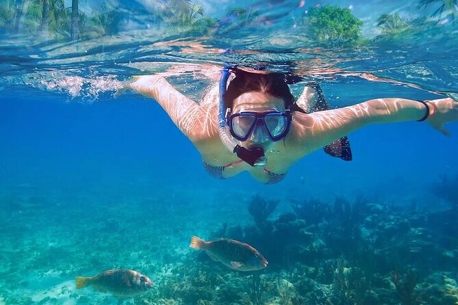 Private Half Day Tour in Cenote Cave and Swimming With Turtles