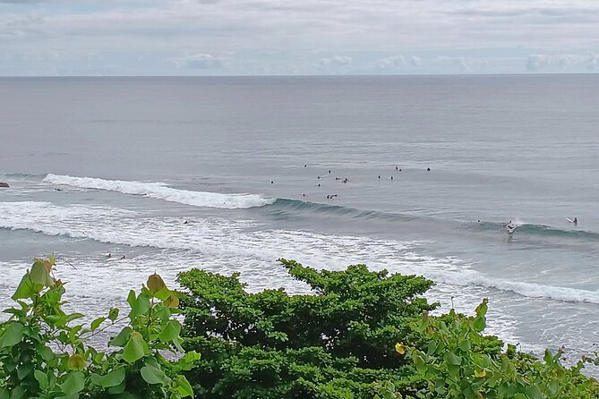 Private Hilo Shore Excursion Review - Details on Inclusions and Amenities