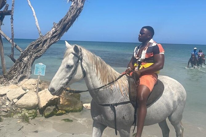 Private Horse Back Riding and Blue Hole From Montegobay